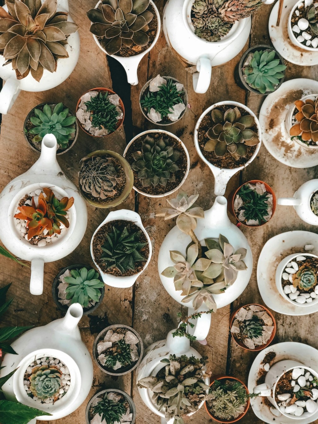 The Evolution of Vintage | Sustainable Vintage Finds & DIY Upcycling